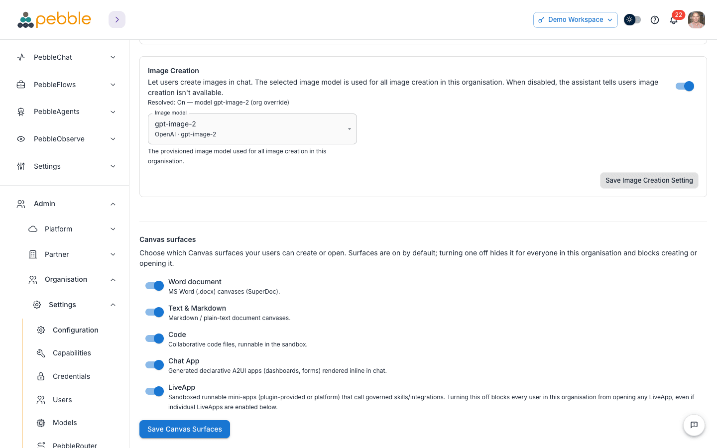 The Canvas surfaces admin section